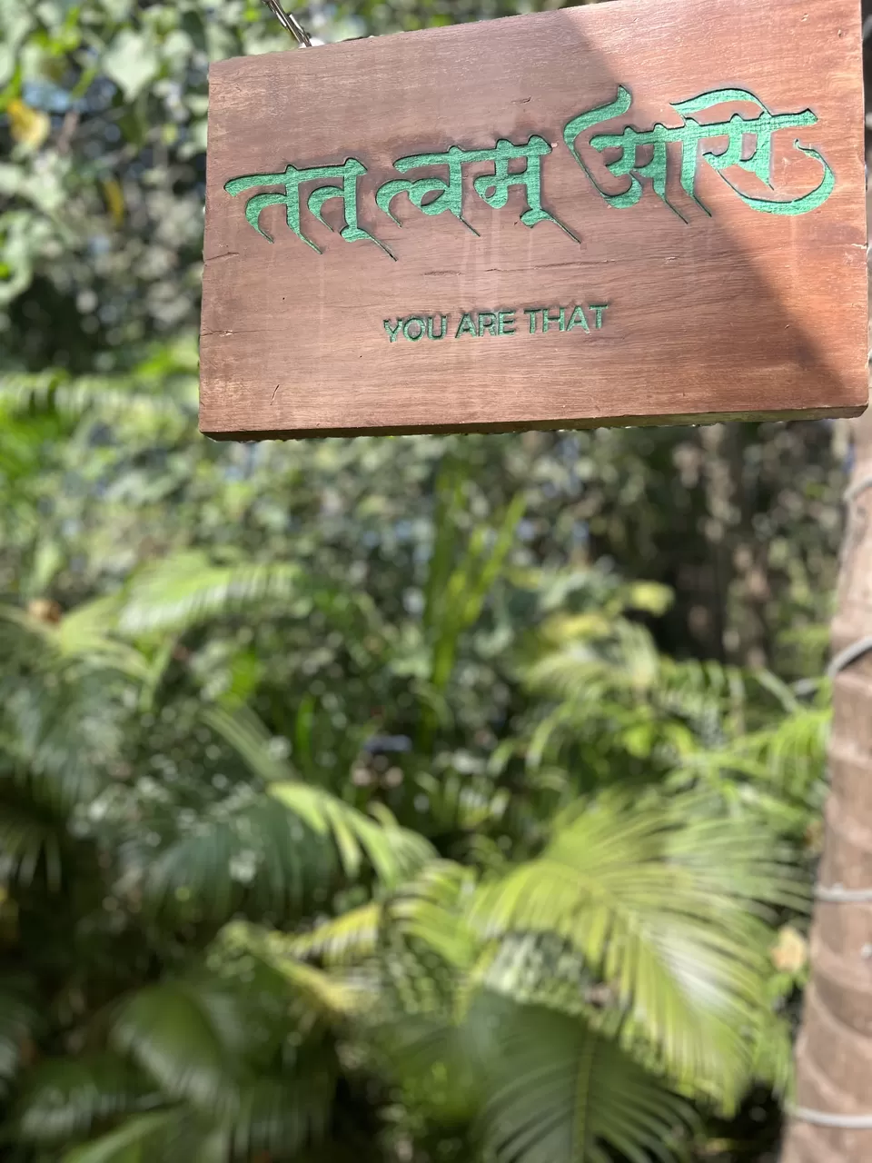 Photo of GRATITUDE CAFE, Pequeno Peddem, Monteiro Vaddo, Anjuna, Goa, India by amritaduorah1