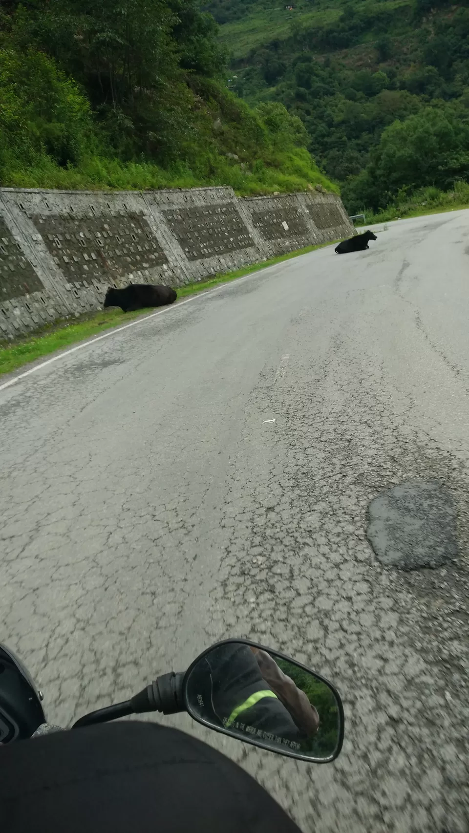 Photo of Bhutan by Mayuri