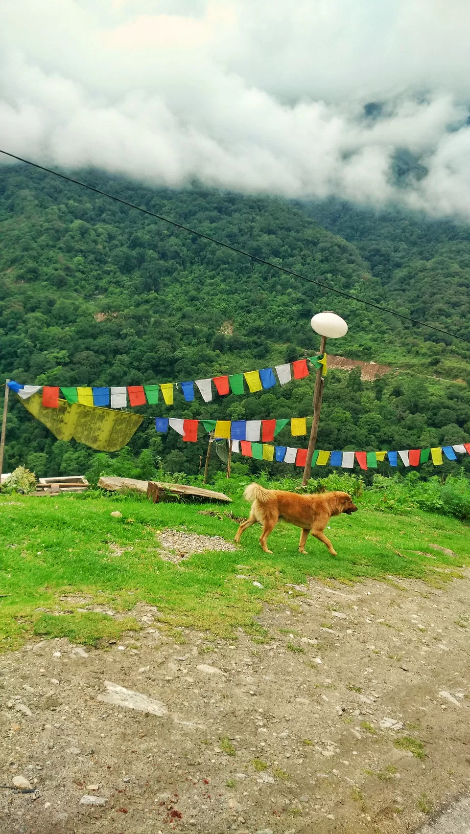 Photo of Bhutan by Mayuri