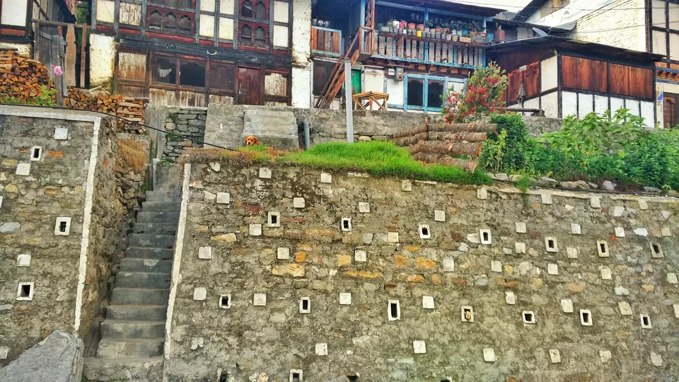 Photo of Bhutan by Mayuri