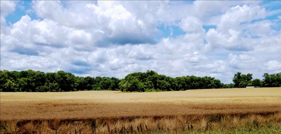 Photo of John & Margie's Mid-West Adventure by Margie