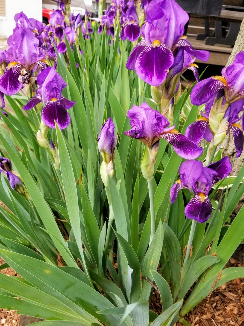 Photo of John & Margie's Mid-West Adventure by Margie