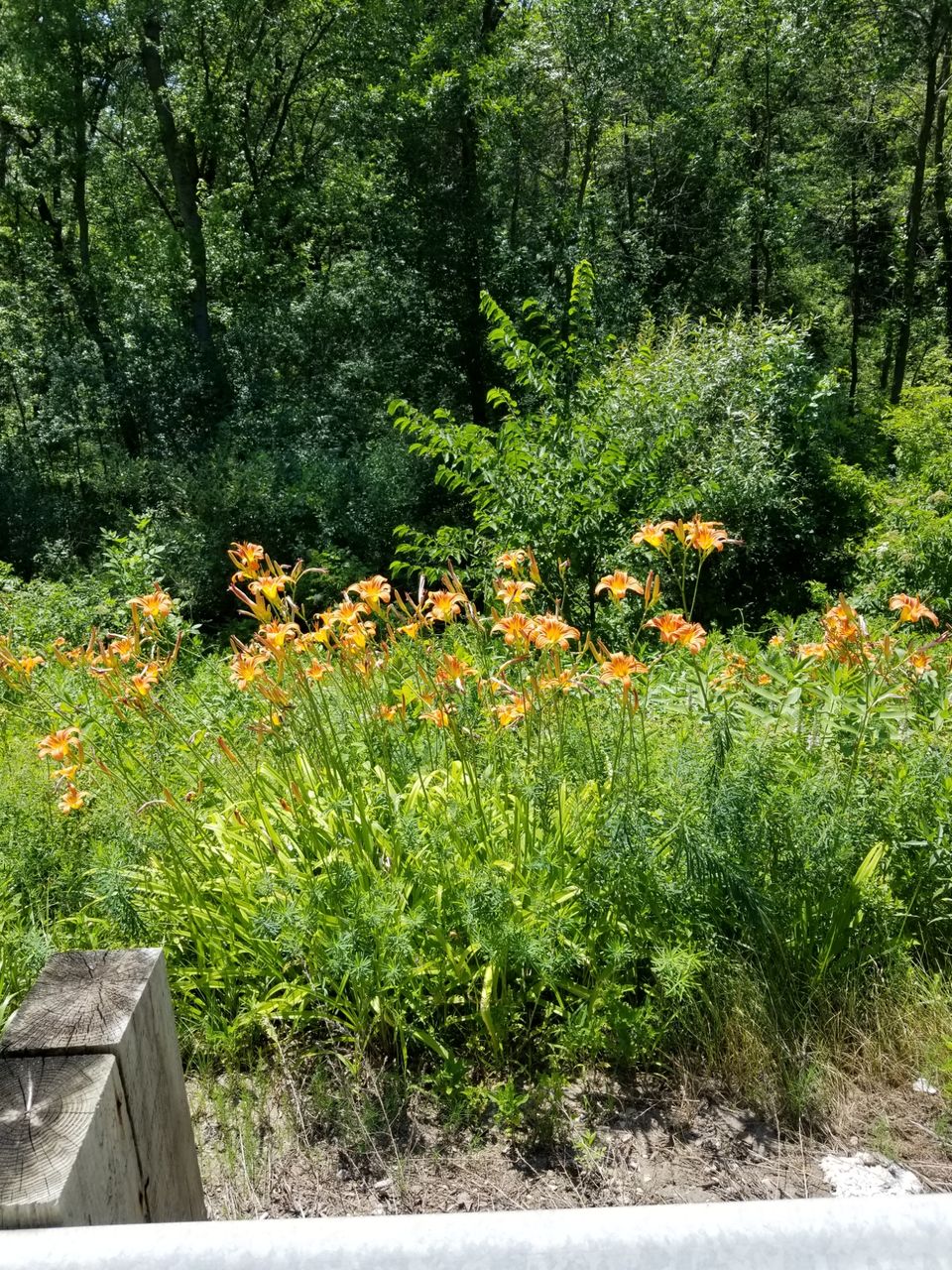 Photo of John & Margie's Mid-West Adventure by Margie