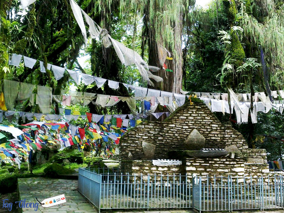 Photo of Say YES to homestays while in Sikkim 13/18 by Tag Along