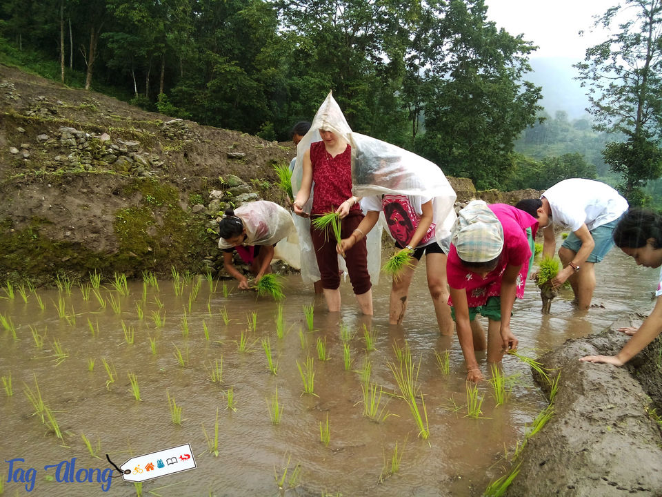 Photo of Say YES to homestays while in Sikkim 14/18 by Tag Along