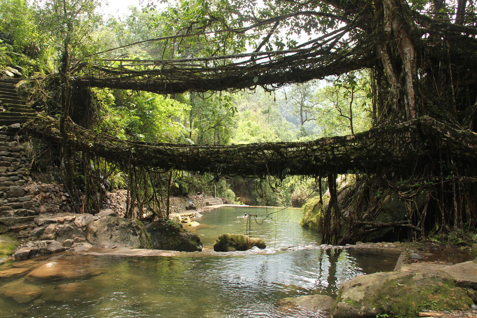 Photo of Nongriat, Meghalaya, India by Tag Along