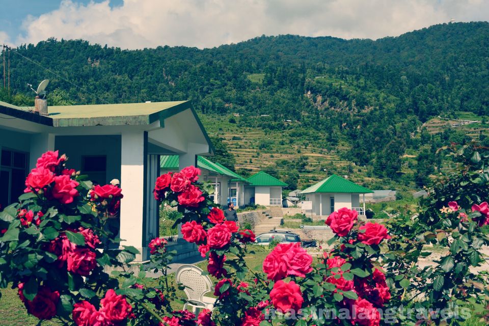 Photo of The shepherds of Dayara Bugyal 6/18 by Vartika Sharma Lekhak