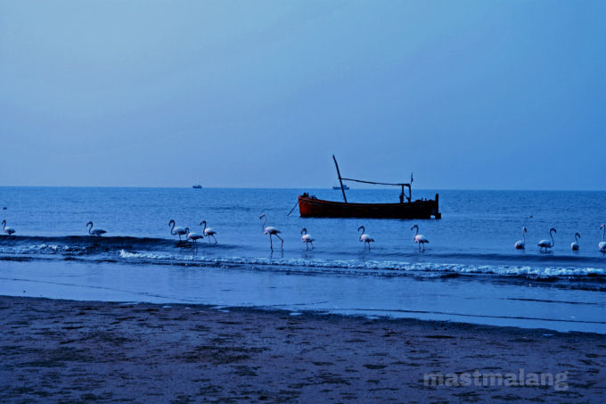 Photo of Offbeat beaches in Kutch 17/21 by Vartika Sharma Lekhak