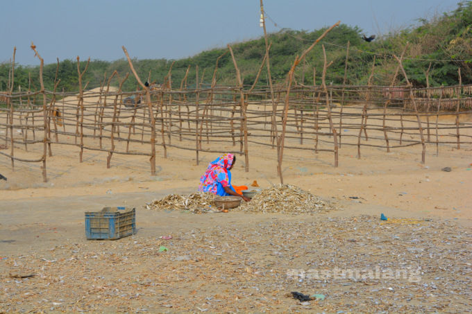 Photo of Offbeat beaches in Kutch 19/21 by Vartika Sharma Lekhak