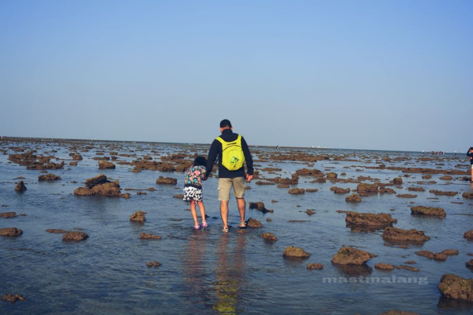 Photo of There Is a Coral Reef Right Here in Gujarat And This Is Why It Should be on Top of Your List by Vartika Sharma Lekhak