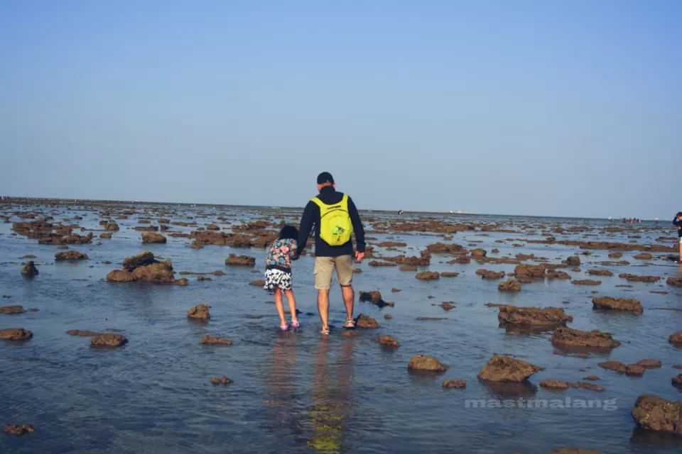 Photo of There Is a Coral Reef Right Here in Gujarat And This Is Why It Should be on Top of Your List by Vartika Sharma Lekhak
