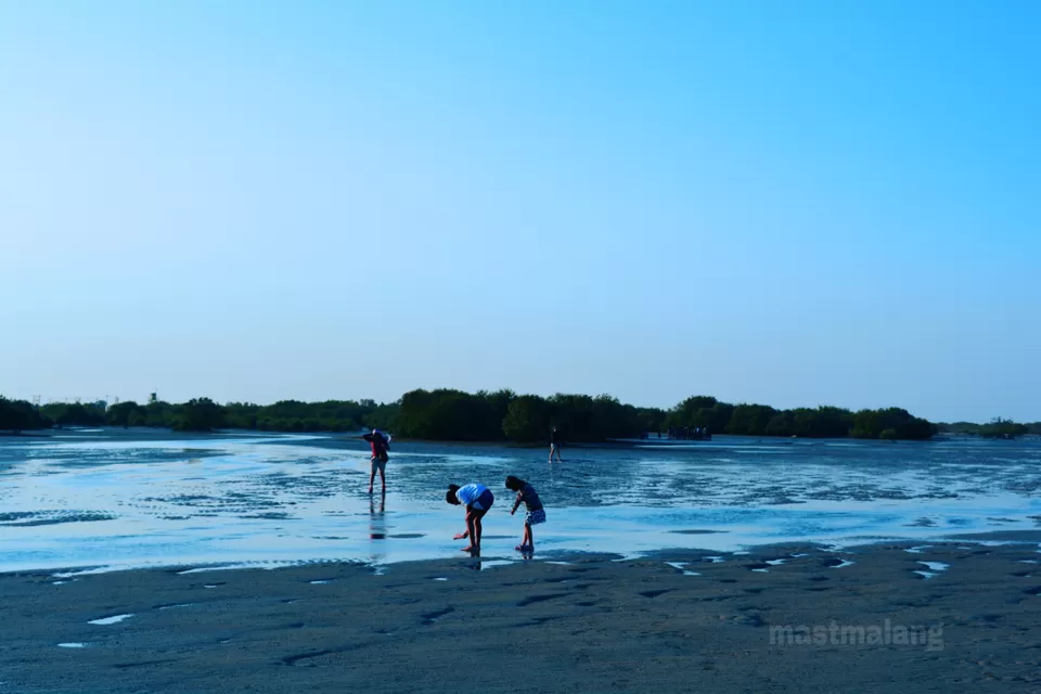 Photo of There Is a Coral Reef Right Here in Gujarat And This Is Why It Should be on Top of Your List by Vartika Sharma Lekhak