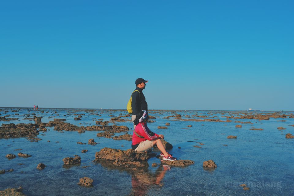 Photo of There Is a Coral Reef Right Here in Gujarat And This Is Why It Should be on Top of Your List by Vartika Sharma Lekhak