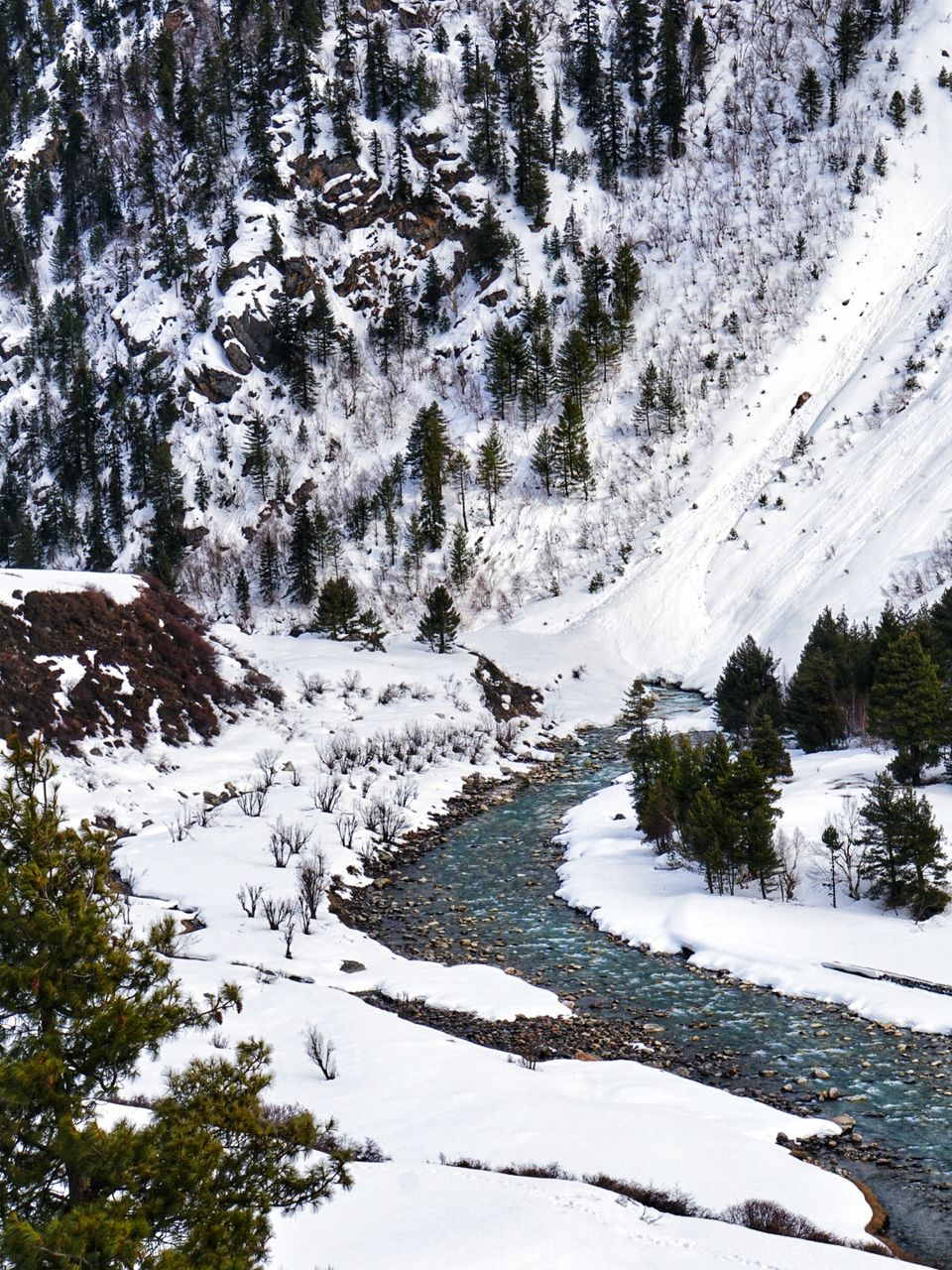 Photo of Chitkul, Himachal Pradesh, India by Life Outside Cubicle (Shruthi B P)