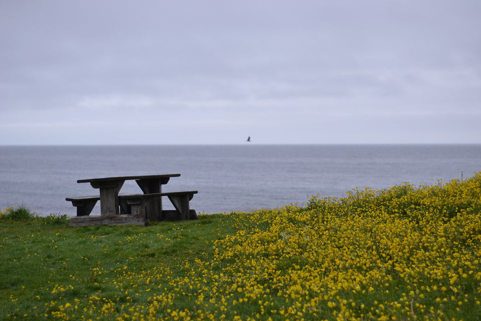 Photo of Eggum, Norway by Ishita Desai