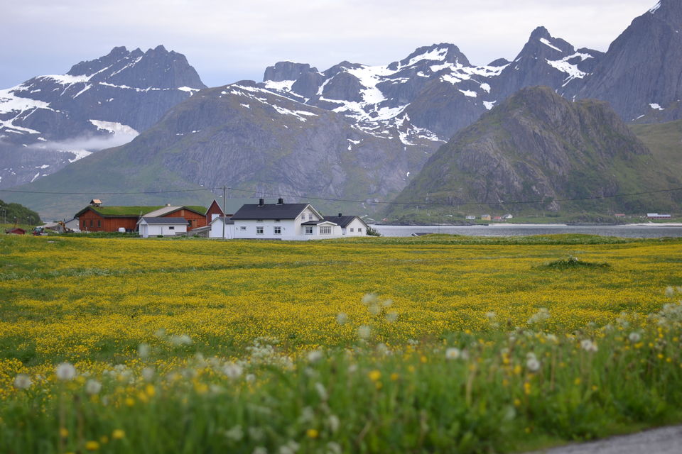 Photo of Lofoten Road Trip by Ishita Desai