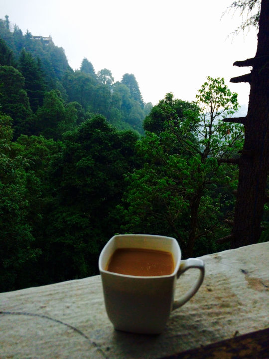 Photo of 5 Days in Dalhousie And Mcleodganj by Karam Dhawan