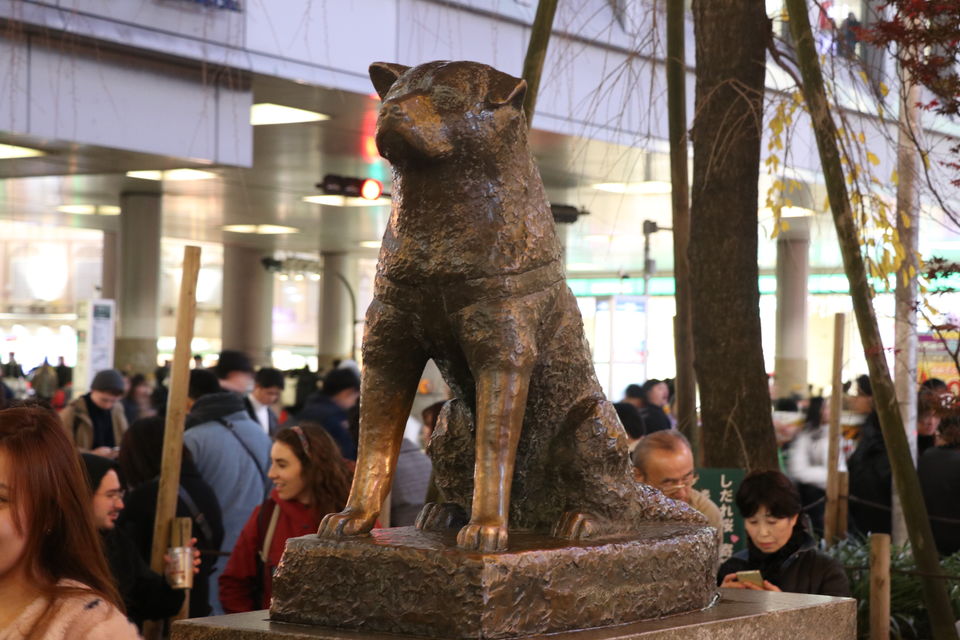 Photo of Shibuya, Tokyo, Japan by Vineet Kumar