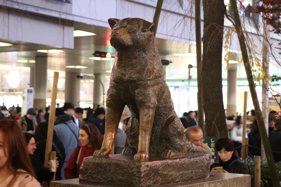 Photo of Shibuya, Tokyo, Japan by Vineet Kumar