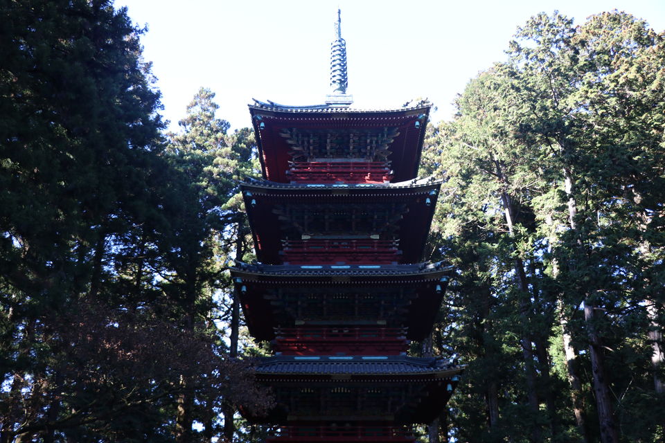 Photo of Thank You Japan (Arigato Nihon) by Vineet Kumar