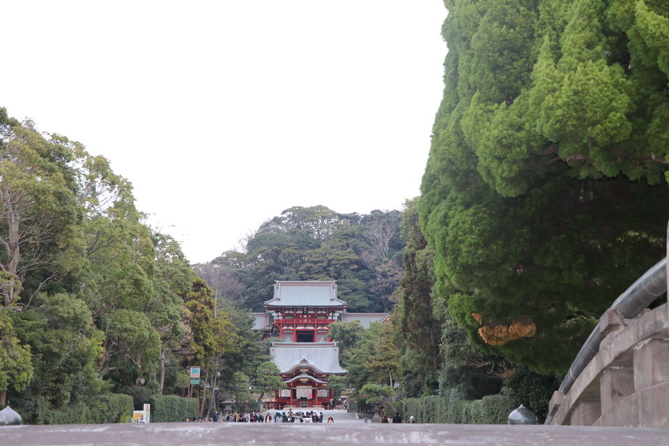 Photo of Tsurugaoka Hachiman-gū, 2 Chome-1-31 Yukinoshita, Kamakura, Kanagawa, Japan by Vineet Kumar