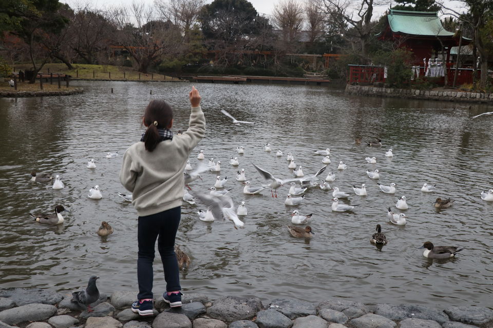 Photo of Thank You Japan (Arigato Nihon) by Vineet Kumar