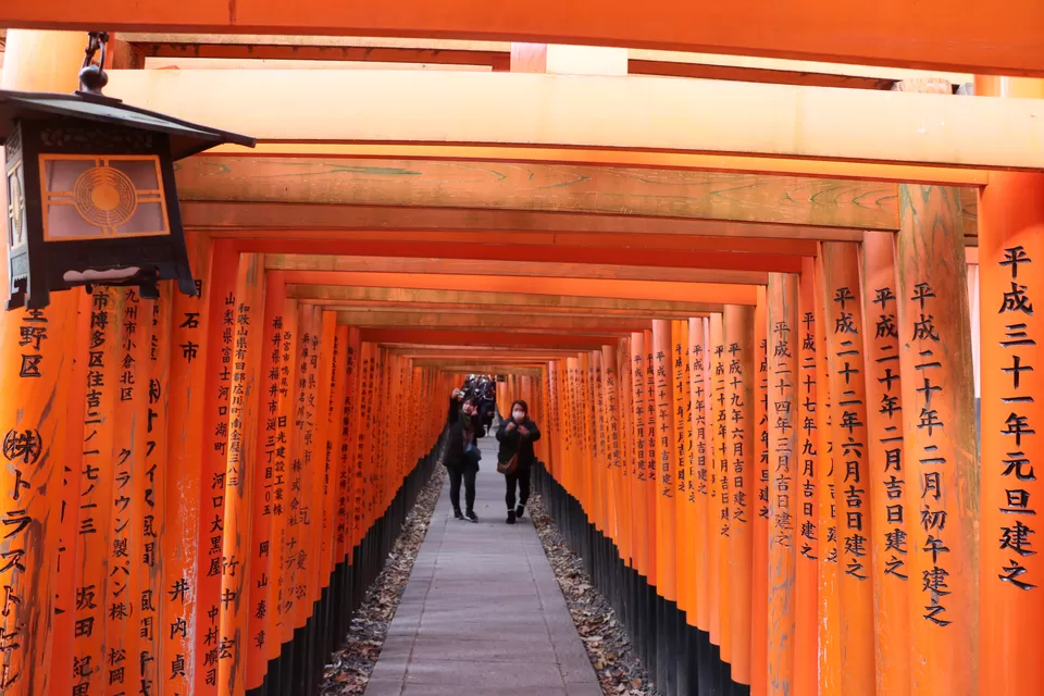 Photo of Fushimi Inari Taisha, 68 Fukakusa Yabunouchicho, Fushimi Ward, Kyoto, Japan by Vineet Kumar
