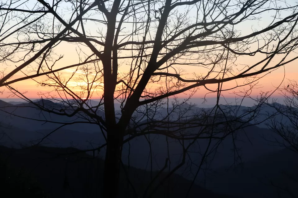 Photo of Koyasan, Koya, Wakayama, Japan by Vineet Kumar