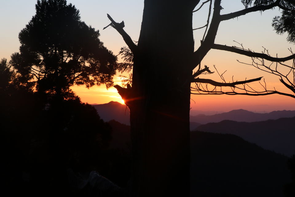 Photo of Thank You Japan (Arigato Nihon) by Vineet Kumar