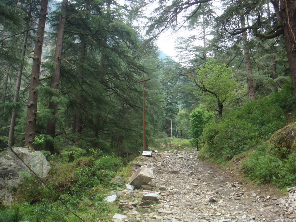 Photo of Escapade to the mountains and Ego Death. 49/55 by Utkarssh Singh