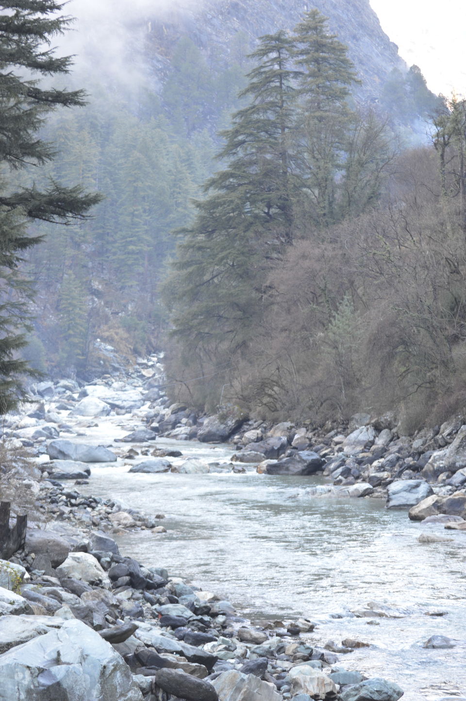 Photo of Escapade to the mountains and Ego Death. 13/55 by Utkarssh Singh