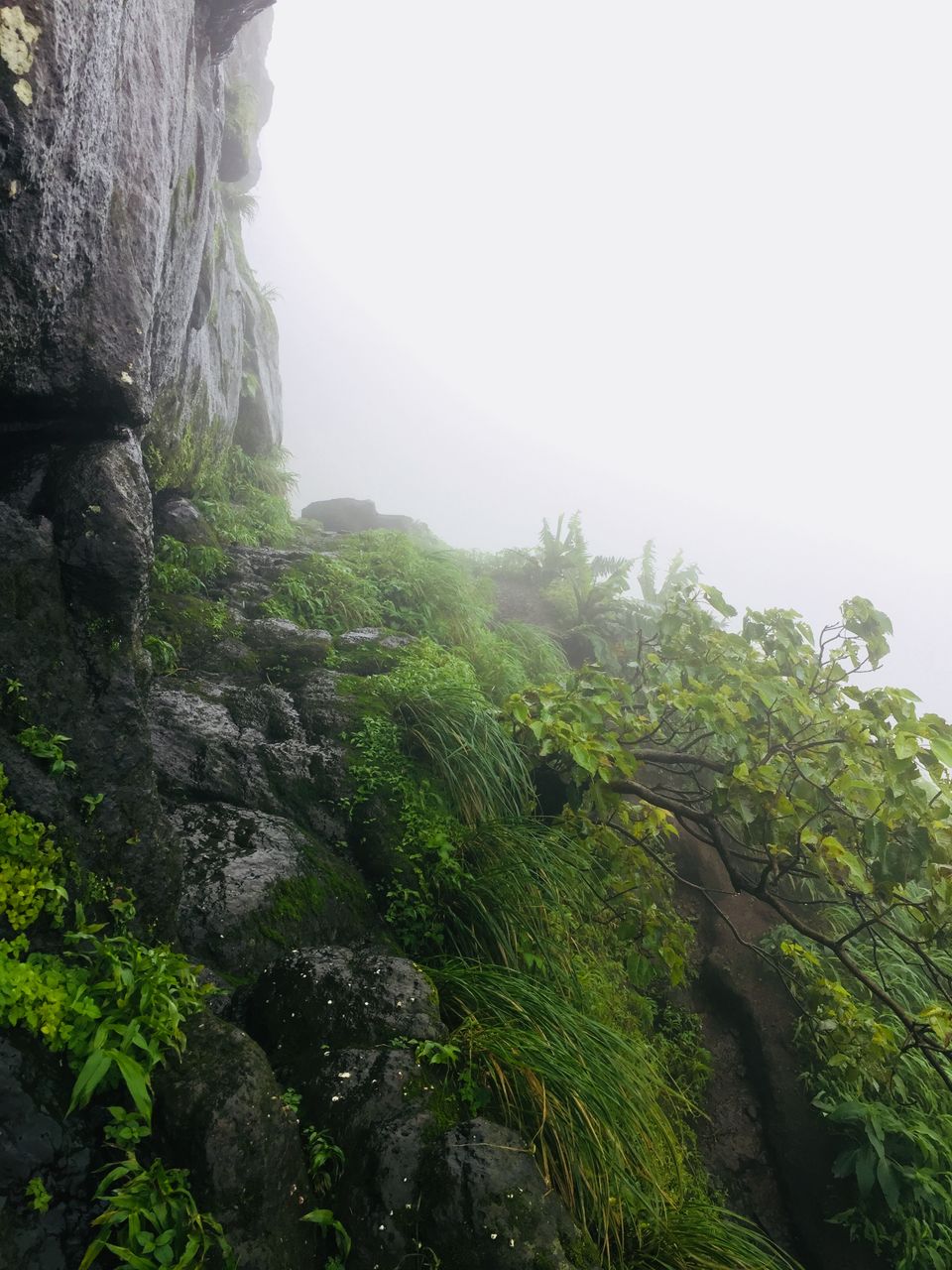 Photo of Mesmerizing View From 2100 feet Peb Fort 7/13 by PK Bishoyi