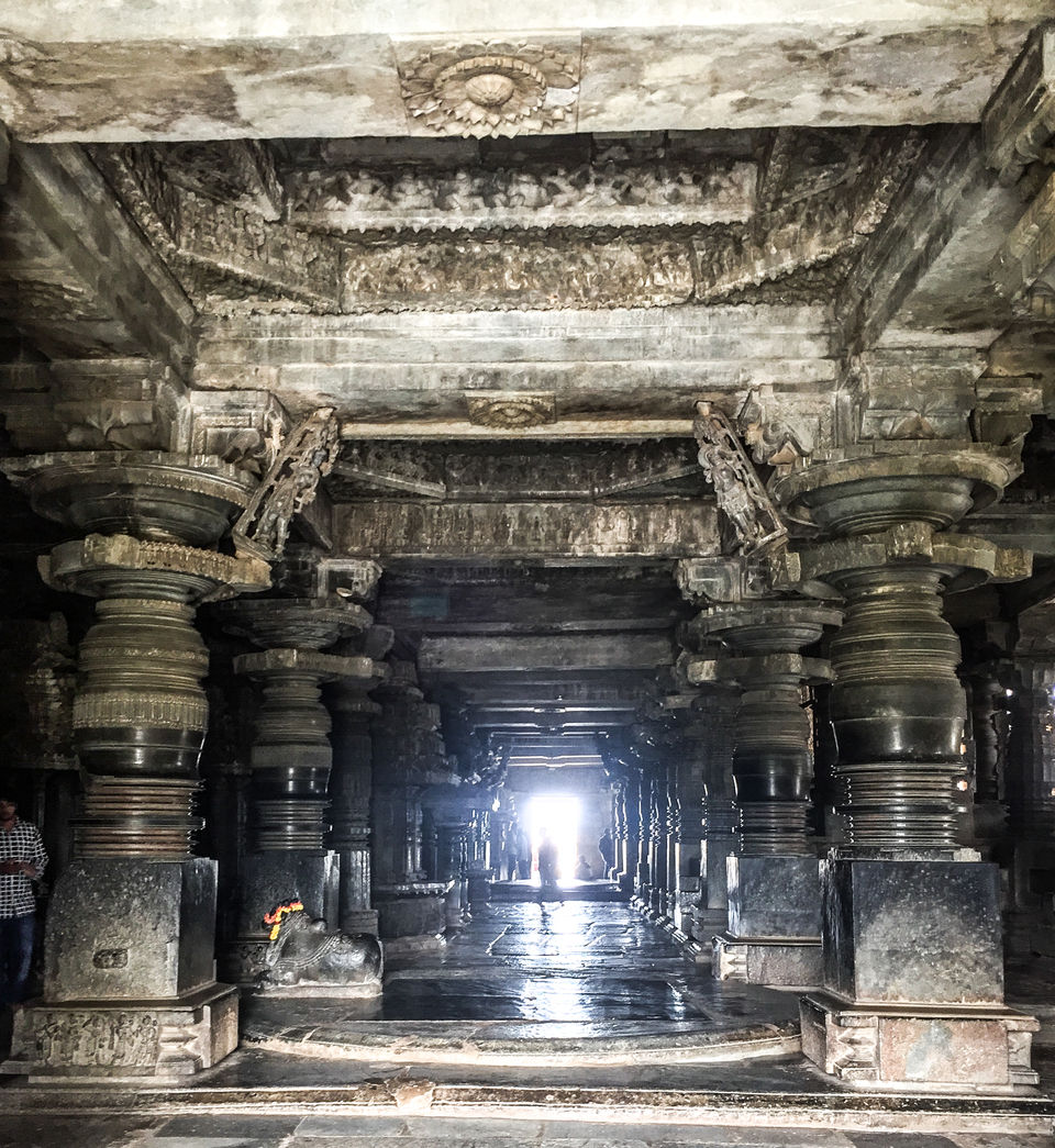 Photo of Bangalore to Halebeedu An Unplanned Trip by PK Bishoyi