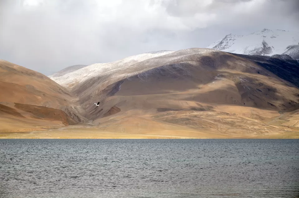 Photo of Tso Moriri, Tso Moriri, 194404 by Nishant Vyas