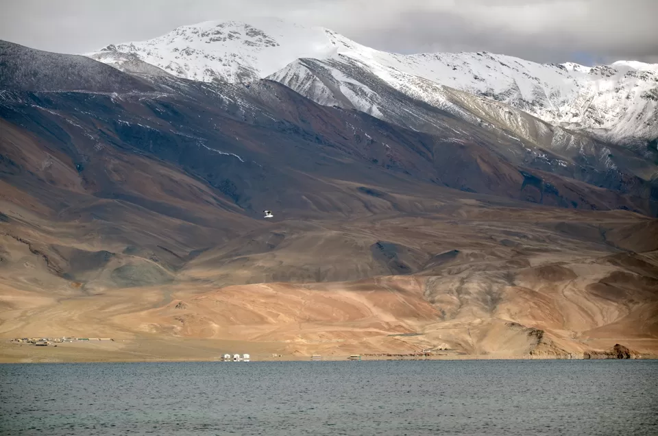 Photo of Tso Moriri, Tso Moriri, 194404 by Nishant Vyas