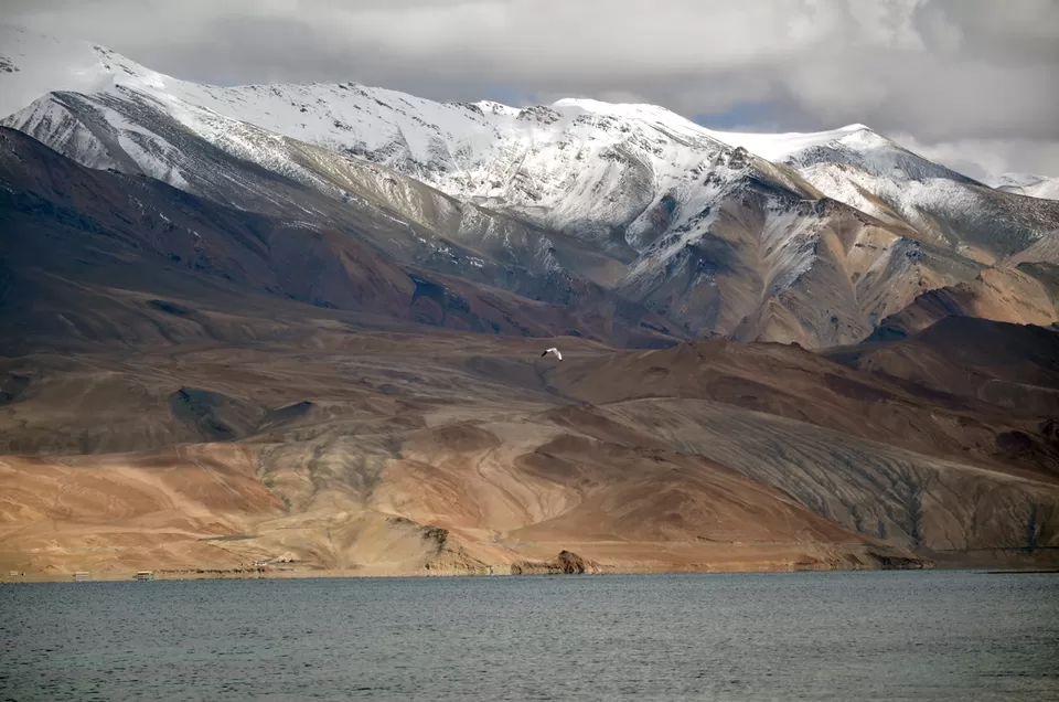 Photo of Tso Moriri, Tso Moriri, 194404 by Nishant Vyas