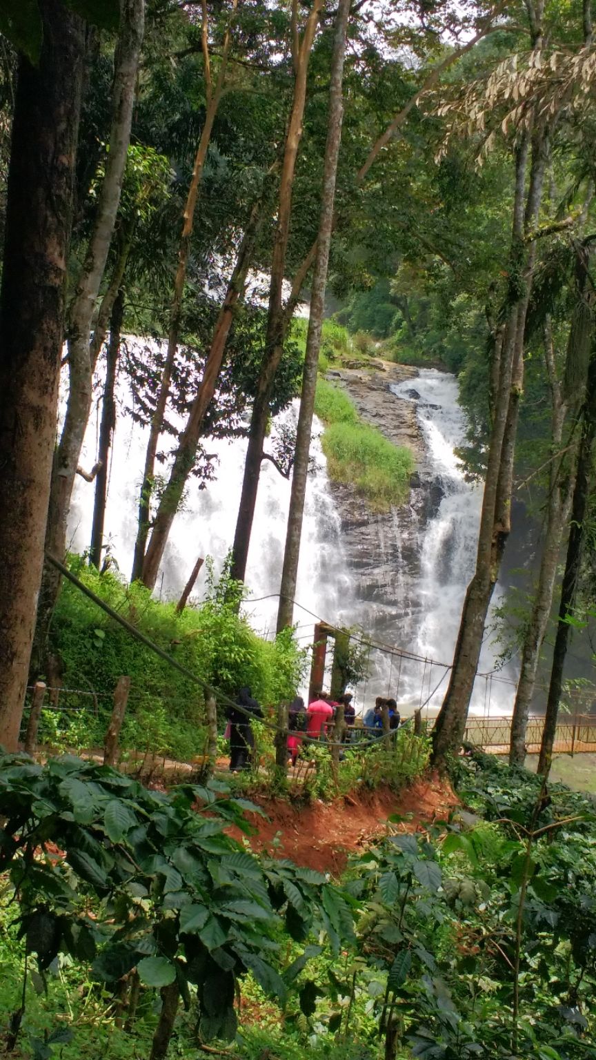 Photo of Karnataka :- Coorg, Mysore..कर्नाटक :- कुर्ग, मैसूर... by Sandeep Rawat (Sunny)