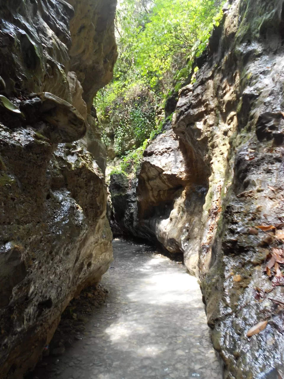 Photo of Robber's Cave by Sandeep Rawat (Sunny)