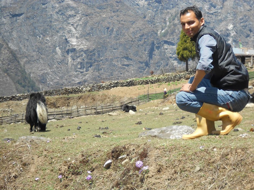 Photo of Want some Snow Fun & High Altitude?- Visit North Sikkim 25/28 by Sandeep Rawat (Sunny)