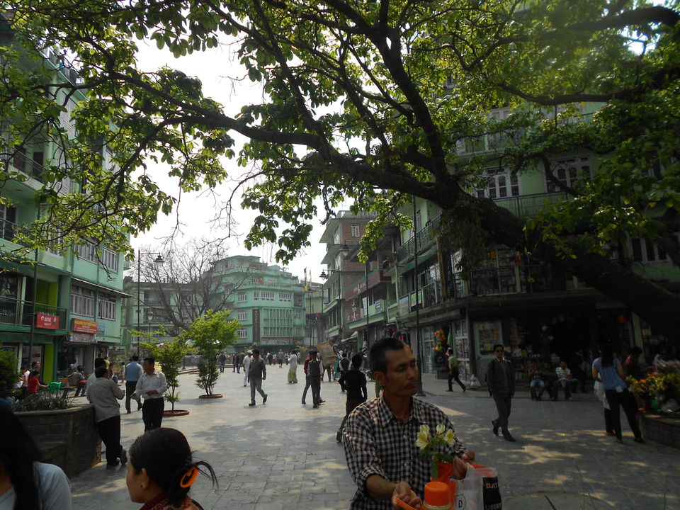 Photo of Go South &West Sikkim 4a retreat in the midst of nature in its most natural form 6/18 by Sandeep Rawat (Sunny)