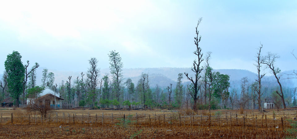 Photo of West Dang : Hidden Beauty of Gujarat - India 3/20 by Gautam Ravaliya