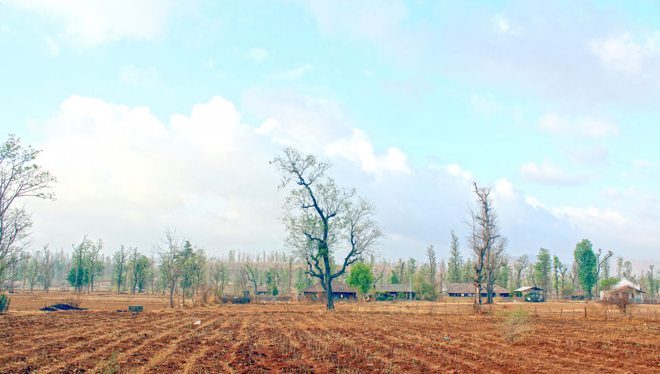 Photo of West Dang : Hidden Beauty of Gujarat - India 4/20 by Gautam Ravaliya