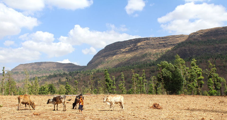 Photo of West Dang : Hidden Beauty of Gujarat - India 9/20 by Gautam Ravaliya