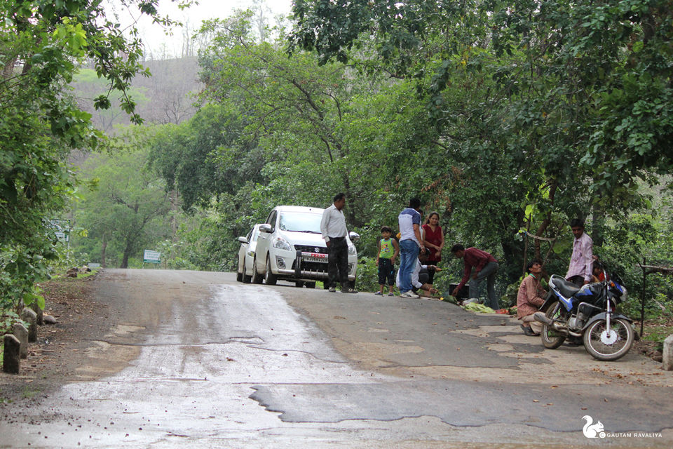 Photo of Hidden Beauty of the Gujarat Forest by Gautam Ravaliya