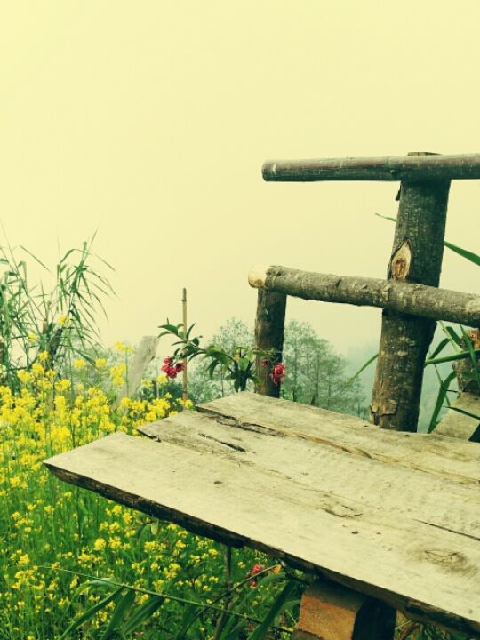 Photo of Sikkim, India by Jyotsna Vadakkanmarveettil