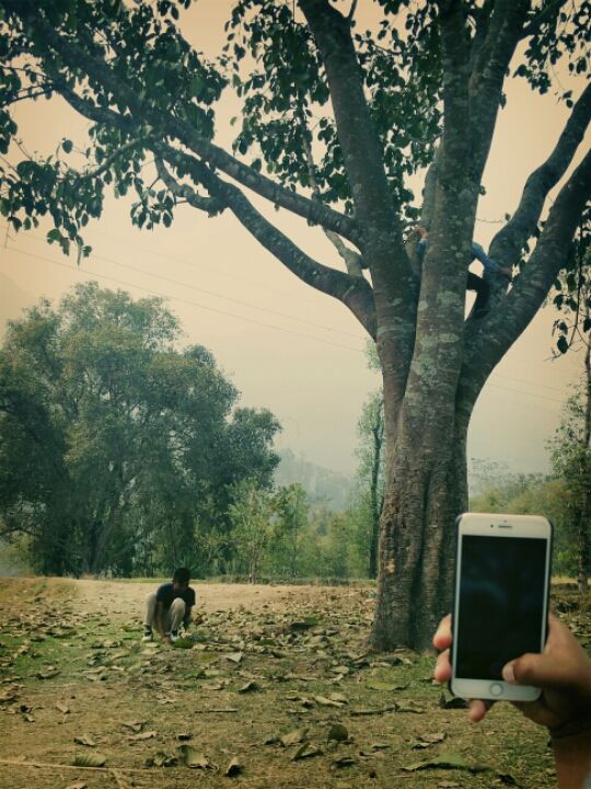Photo of Sikkim, India by Jyotsna Vadakkanmarveettil