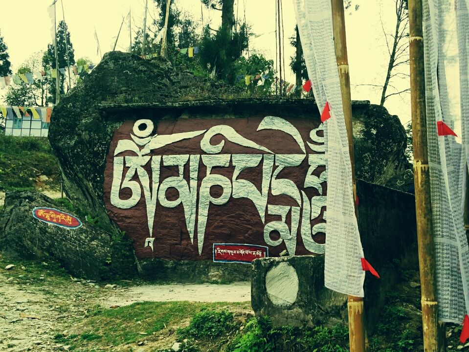 Photo of Sikkim, India by Jyotsna Vadakkanmarveettil