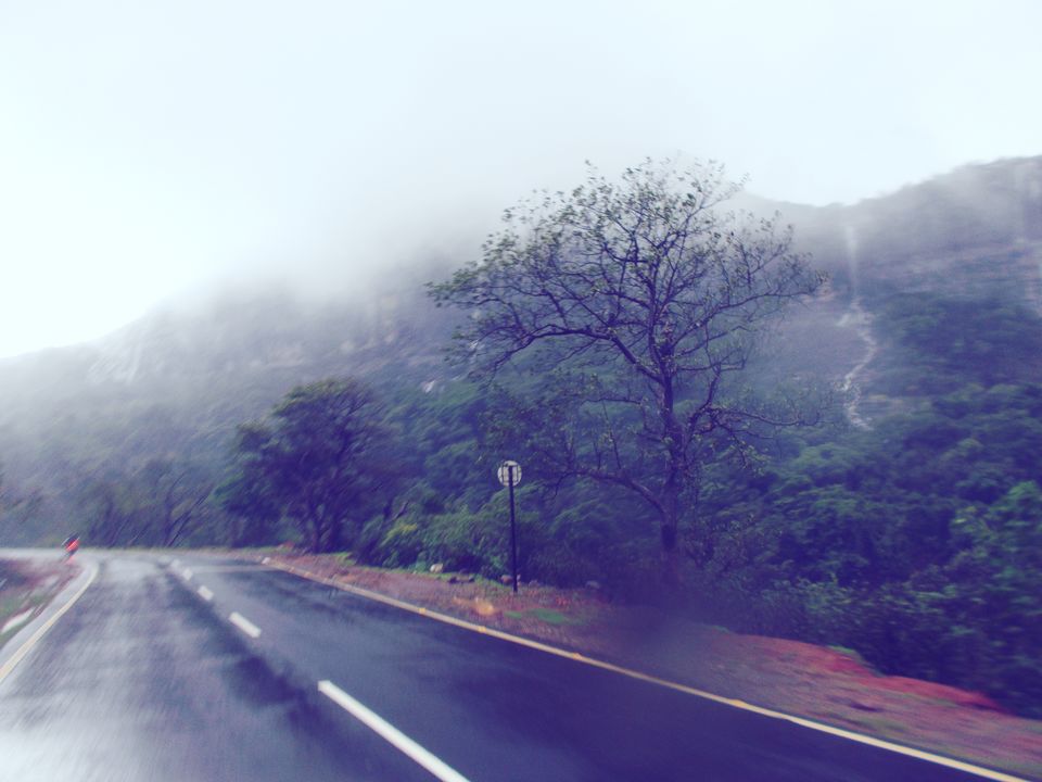 Photo of Roadtrip: Magestic Malshej 2/4 by Amit Singh