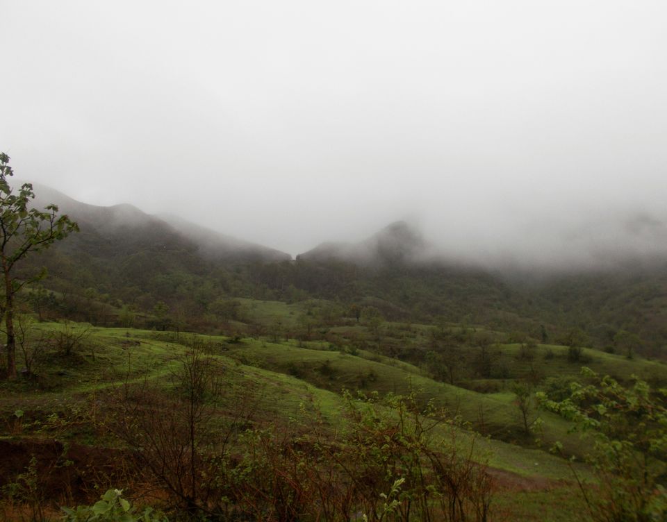 Photo of Roadtrip: Magestic Malshej 3/4 by Amit Singh