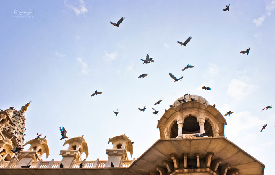 Photo of Incredible experiences of Jodhpur: In Photos by Dipak Jadhav